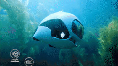 1578903277137589.gif https://mmbiz.qpic.cn/mmbiz_gif/jpBXxLSSYJ8FQo3okTZCPiaLmpNx3mYap6qsnc5icvQNZDFNx0mv8KuqgIeaVNhBYTjXnGPdLnr035vflzy31vQg/640?wx_fmt=gif&wxfrom=5&wx_lazy=1