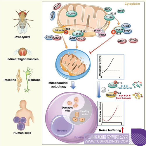 1603780561868575.jpg 1.JPG