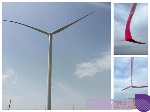 1620801266565261.jpg 1 拷贝.jpg