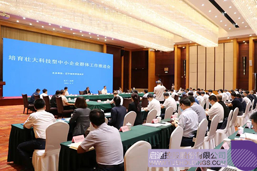 1631075543739566.jpg 1C.jpg