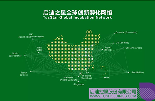 1640932390383486.jpg 2c.jpg