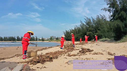 1653898058439107.jpg 3c.jpg