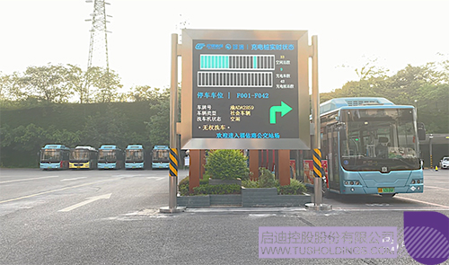 1655866372168432.jpg 2c.jpg