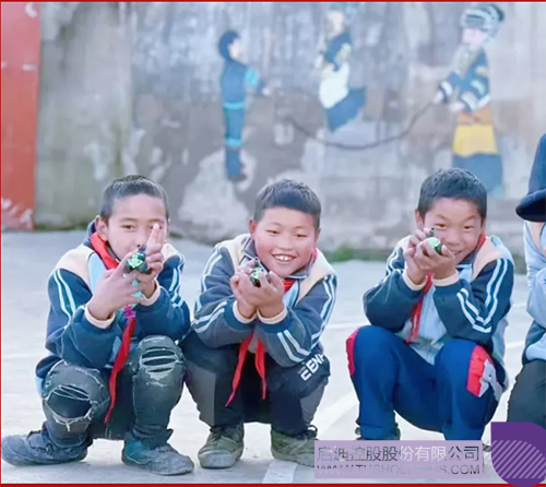 1736307695234079.jpg 未标题-2c.jpg